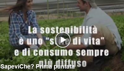 “Lo sapevi che?” La prima puntata della nostra video-rubrica