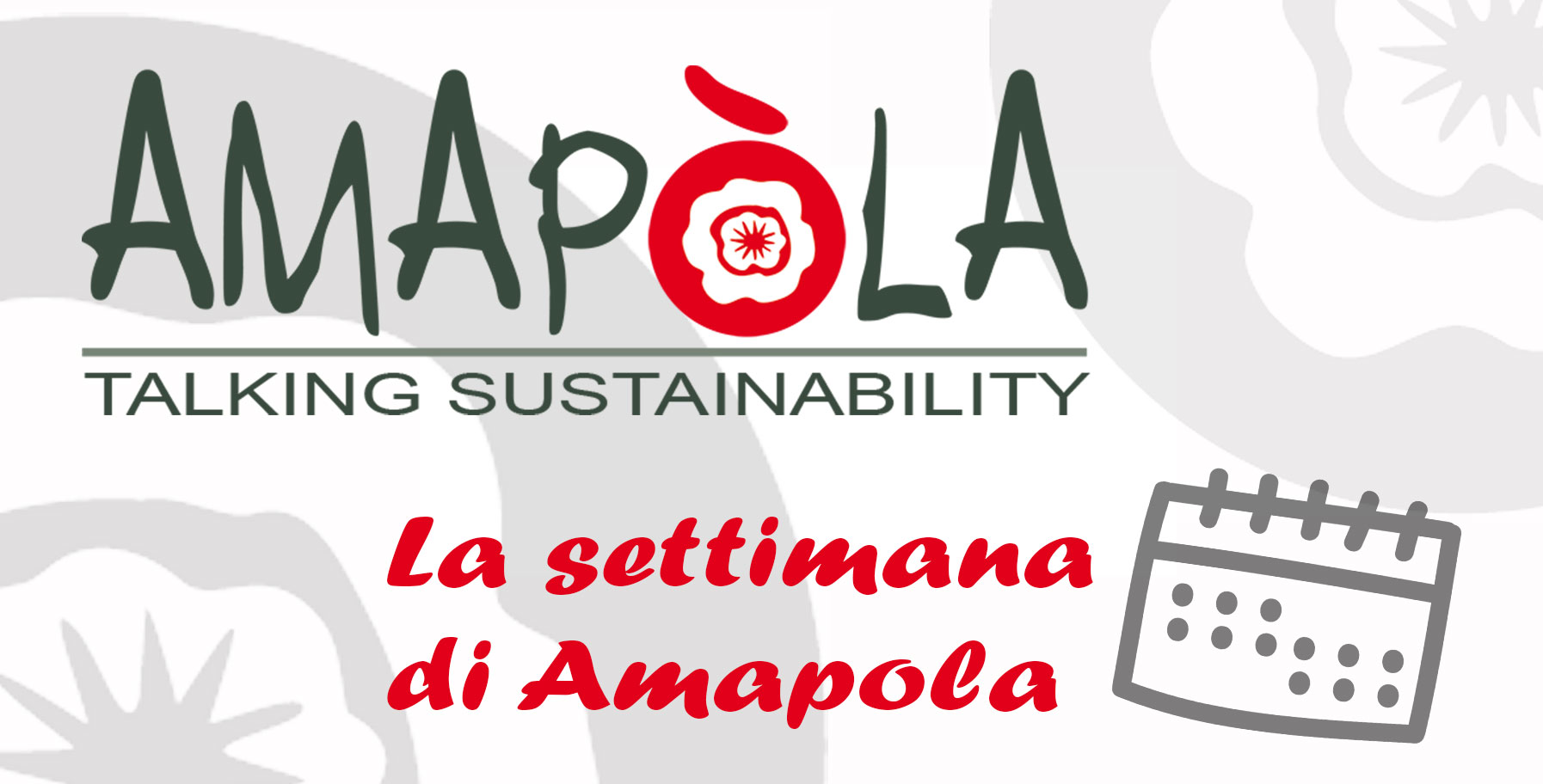 La settimana di Amapola