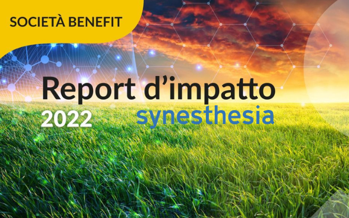 Synesthesia, copertina report d'impatto