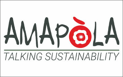 AMAPOLA IS LOOKING FOR A JUNIOR SALES ACCOUNT – CLOSED