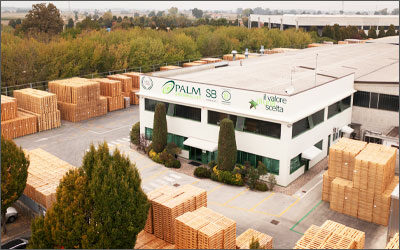 Amapola al fianco di Palm SpA SB, azienda leader nel settore del pallet in legno da filiera sostenibile