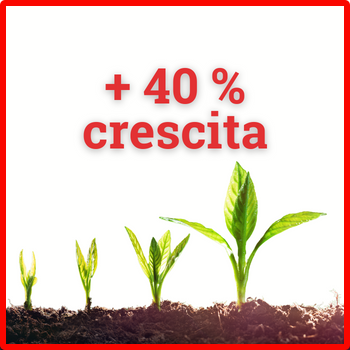 crescita