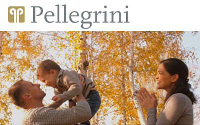 Pellegrini spa  Smart Report – Relazione Annuale 2021