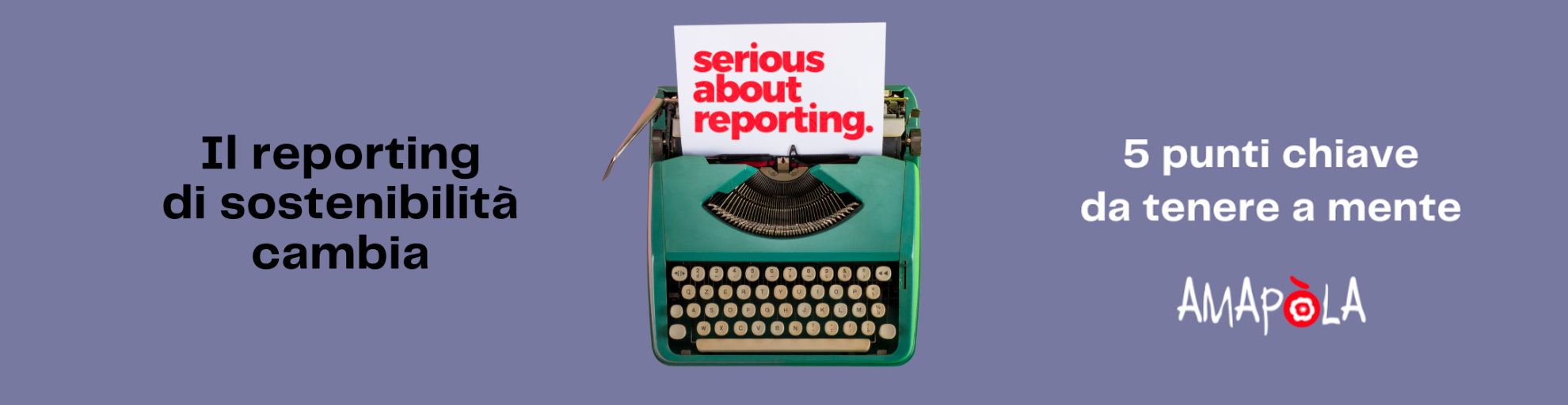 Copertina guida Amapola sul reporting di sostenibilità