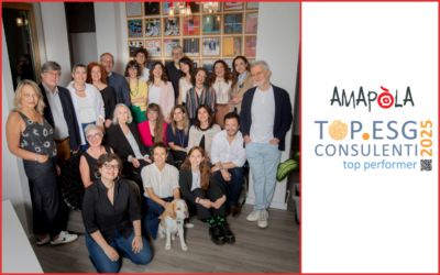 Amapola among the Top Performers: 5th out of 118 in the Top ESG Consultants Guide 2025